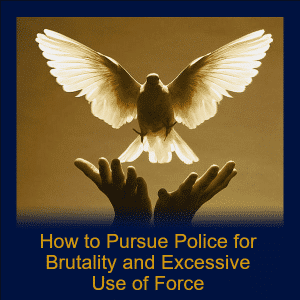 Module 91 - How To Pursue Police For Brutality and Excessive Use of Force