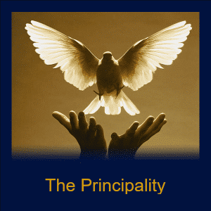 Module 98 - The Principality