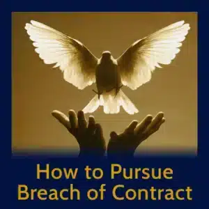 Module 13 - Pursue Debts, Debtors & Breach Of Contracts