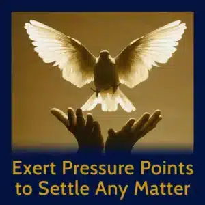 Module 14 - Exerting Pressure Points to Settle Any Matter