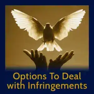 Module 19 - Options To Deal with Infringements