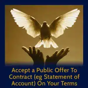 Module 4 - Accept a Public Offer To Contract (eg Statement of Account) On Your Terms