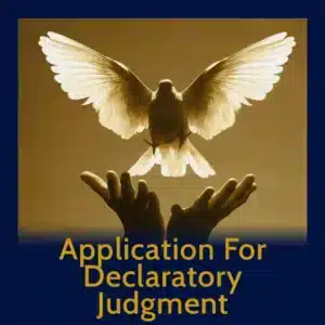 Module 45 - Application For Declaratory Judgement