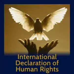Module 46 - International Declaration of Human Rights