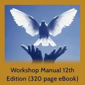 Workshop Manual 12th Edition (320 page eBook)