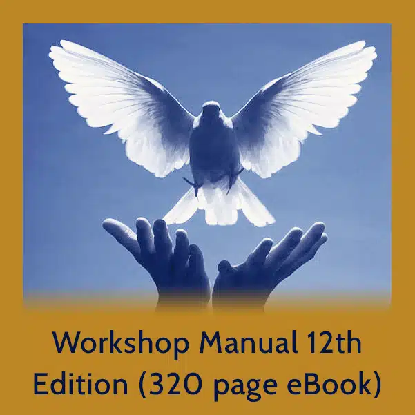 Workshop Manual 12th Edition (320 page eBook)