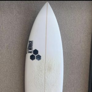 Profile photo of yort
