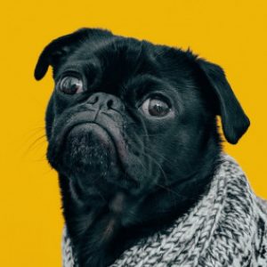 Profile photo of newguy1113
